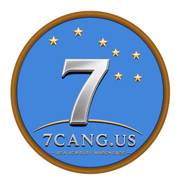 七格美国仓 Logo